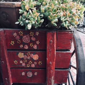 Meet your Posher, Carol